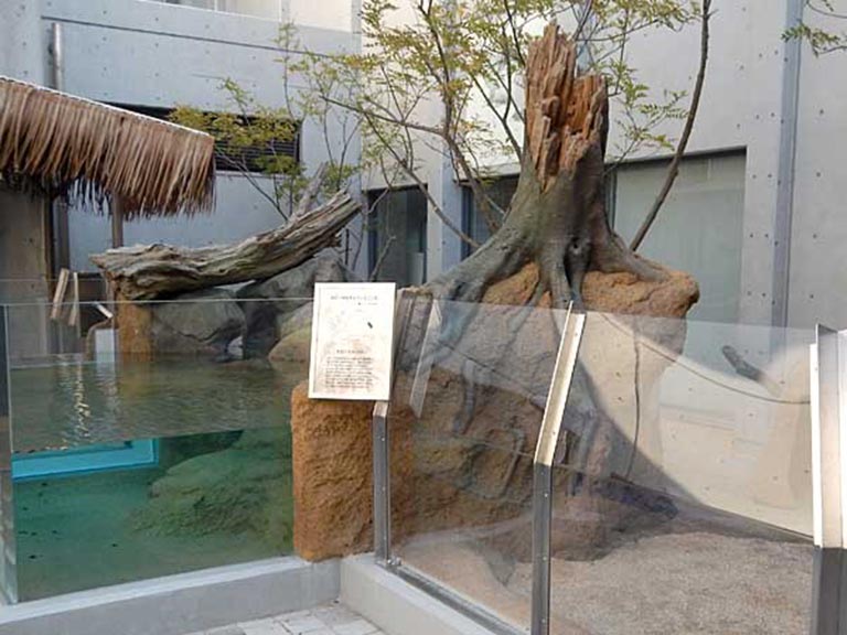 仿真樹.jpeg 仿真樹