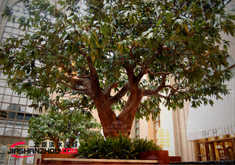 仿真榕樹.jpg 仿真榕樹