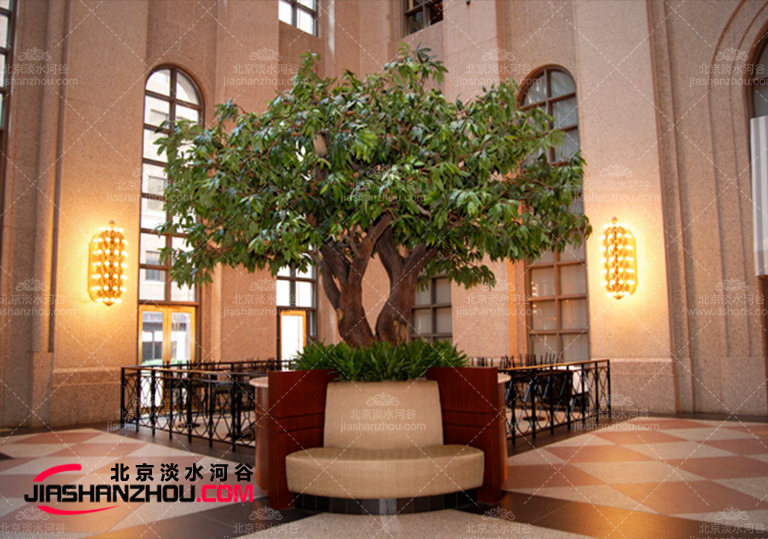 仿真樹.jpg 仿真樹