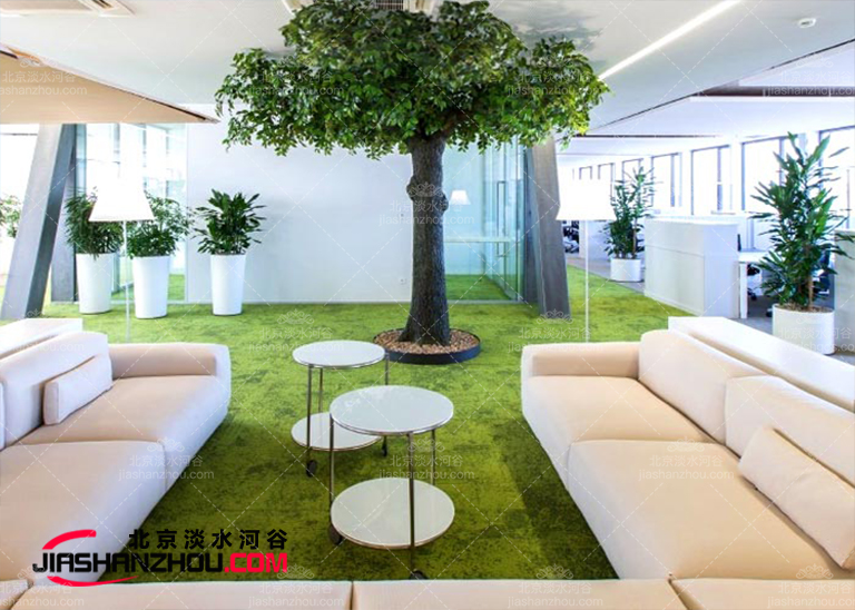 仿真假樹(shù).jpg 仿真假樹(shù)