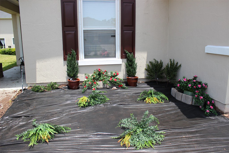 抗旱景觀.jpg 抗旱景觀