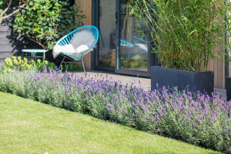 1616569977939859.jpg 8.jpg