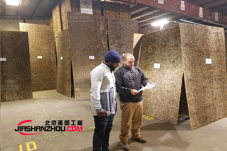 仿真洞穴木質酒店