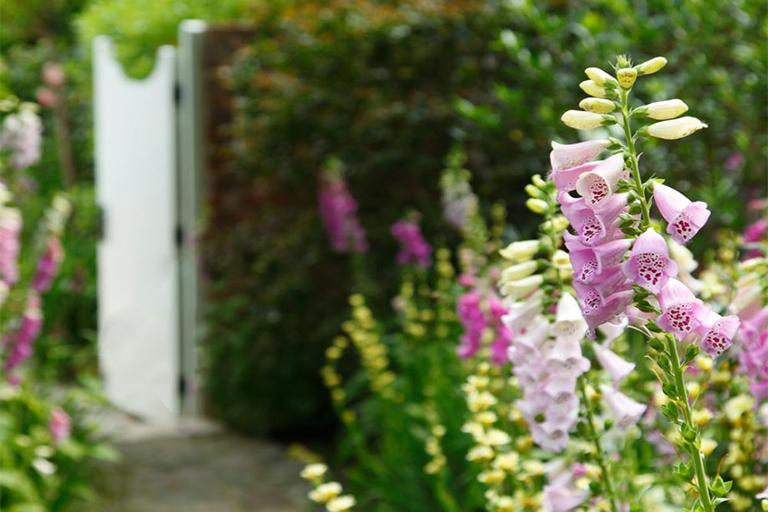 1618294661881267.jpg 1618294053118736.jpg