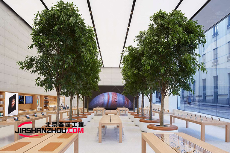 仿真樹.jpg 仿真樹