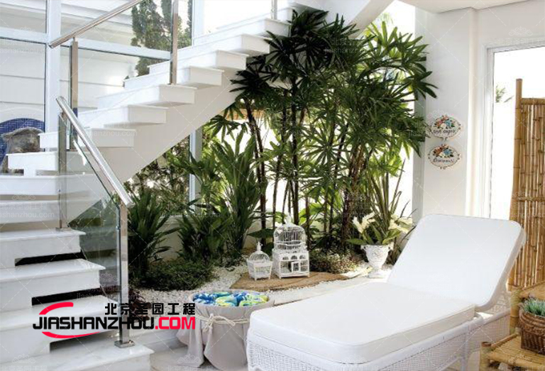 仿真樹(shù).jpg 仿真樹(shù)