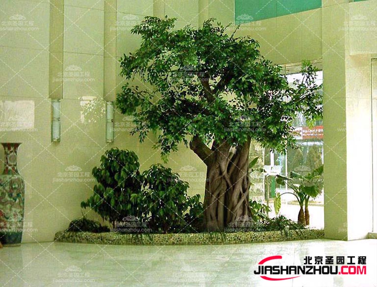 仿真樹.jpg 仿真樹