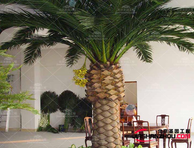 仿真樹(shù).jpg 仿真樹(shù)