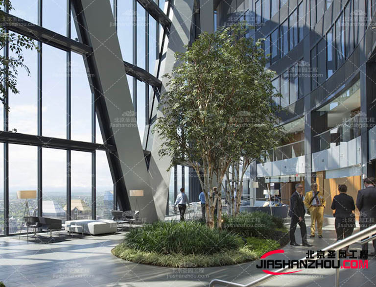 仿真樹.jpg 仿真樹