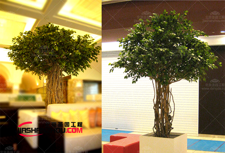 仿真樹.jpg 仿真樹.jpg