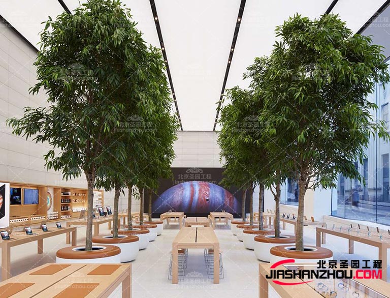 仿真樹(shù).jpg 仿真樹(shù).jpg