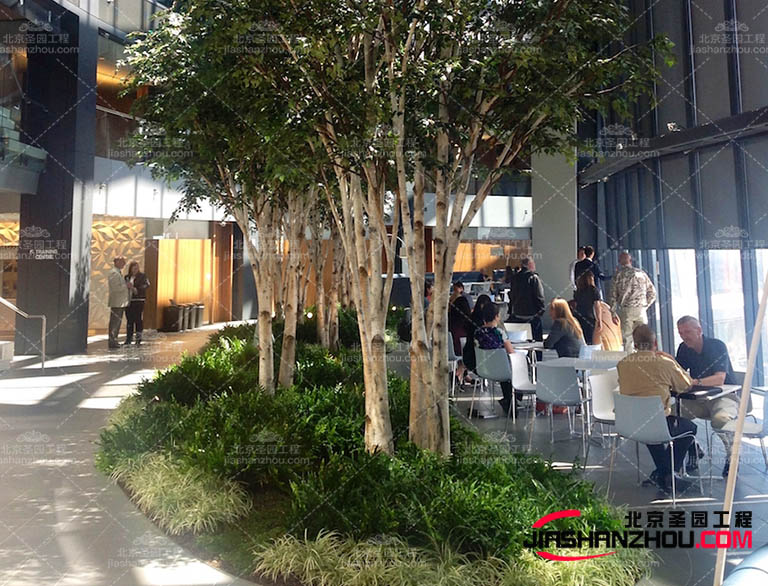 仿真樹(shù).jpg 仿真樹(shù).jpg